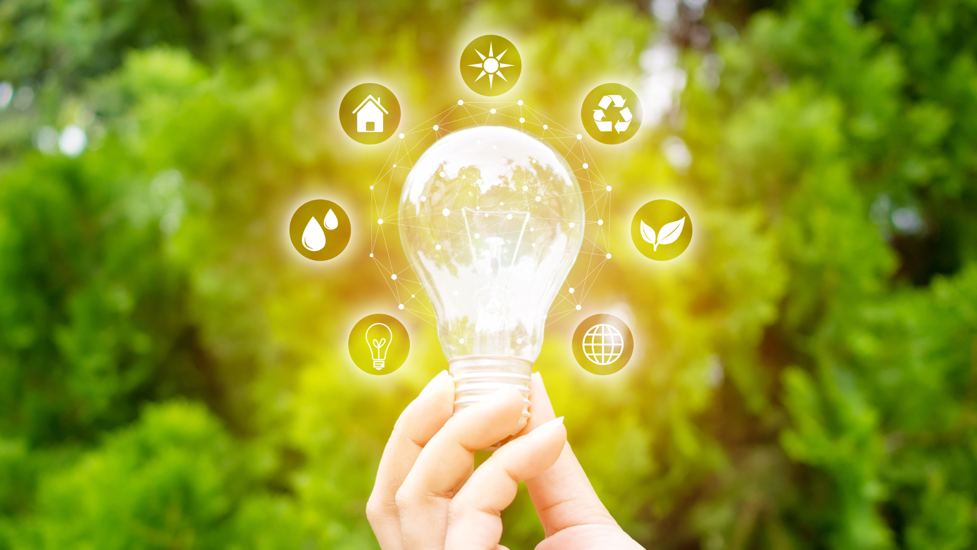 Programa INNOVAE